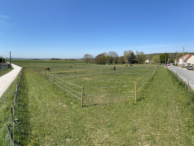 Paddock verdoyant aux Écuries d'Ergal